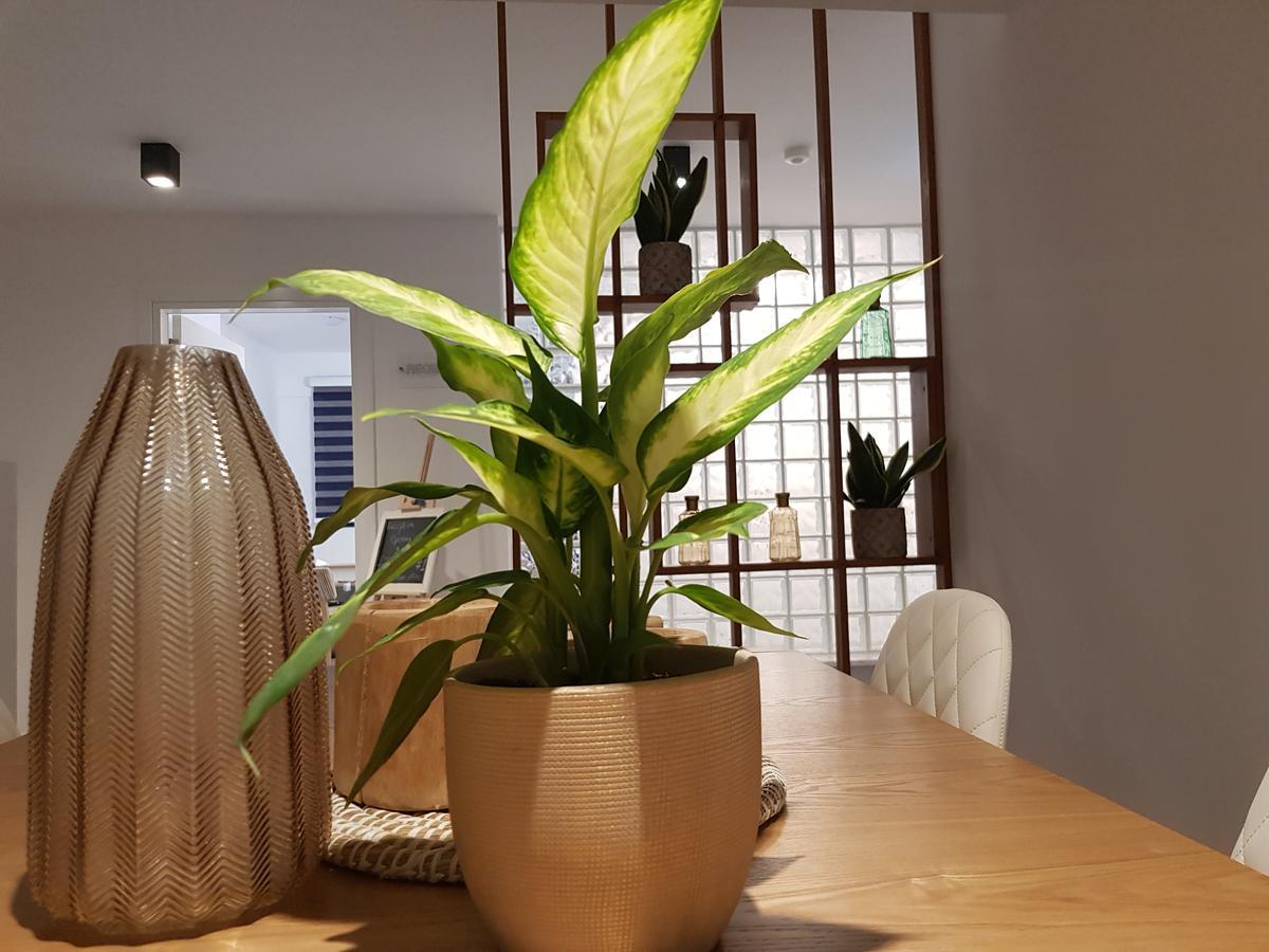 ניקוסיה Hypnos Boutique Hotel (Adults Only) מראה חיצוני תמונה